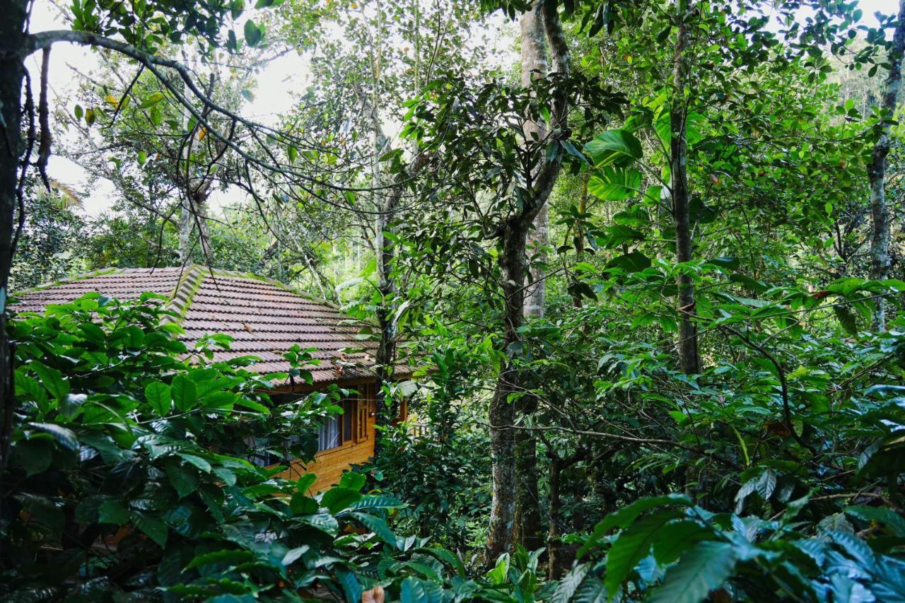 Bamboo Creek Resort Vaduvanchal Eksteriør billede