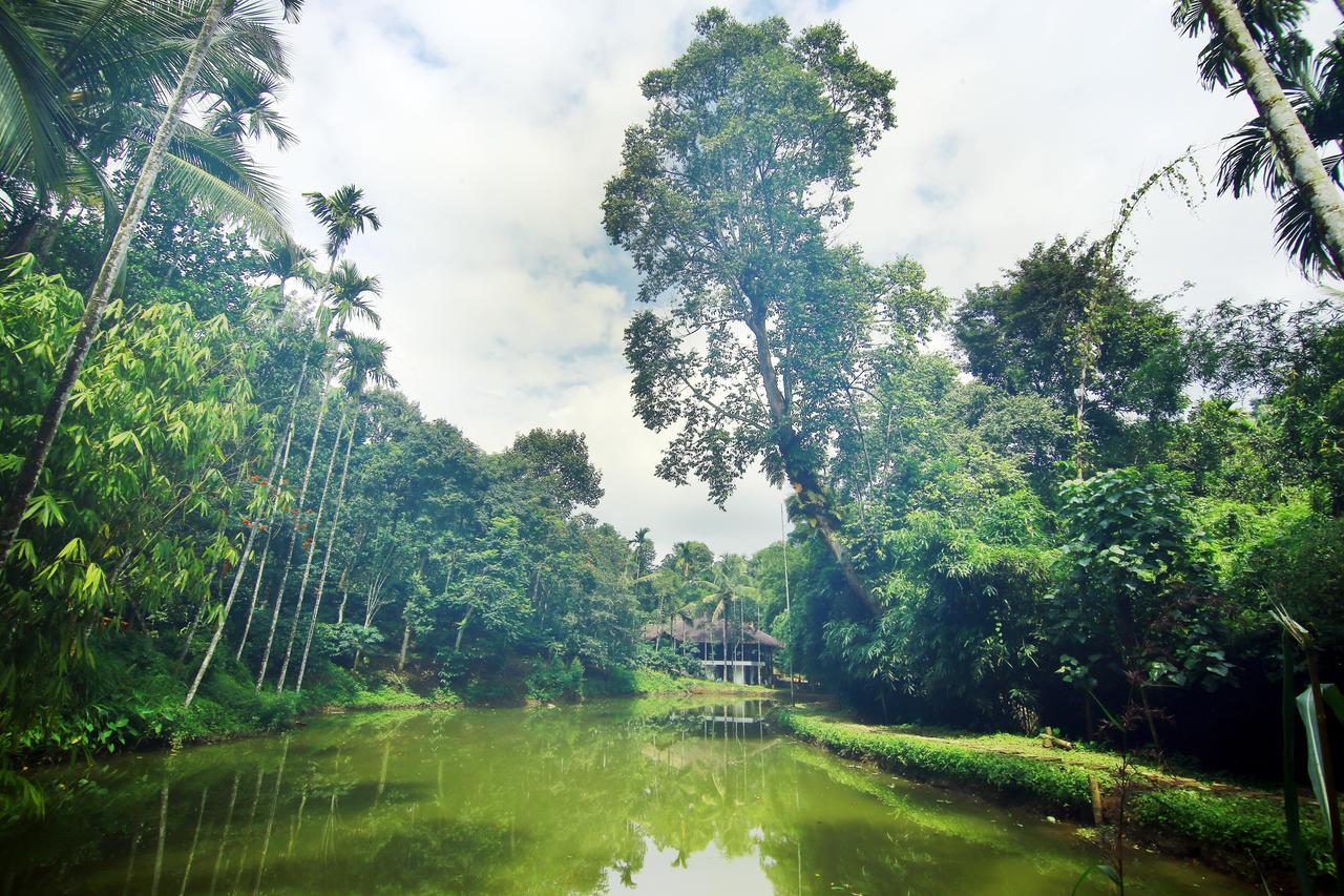 Bamboo Creek Resort Vaduvanchal Eksteriør billede