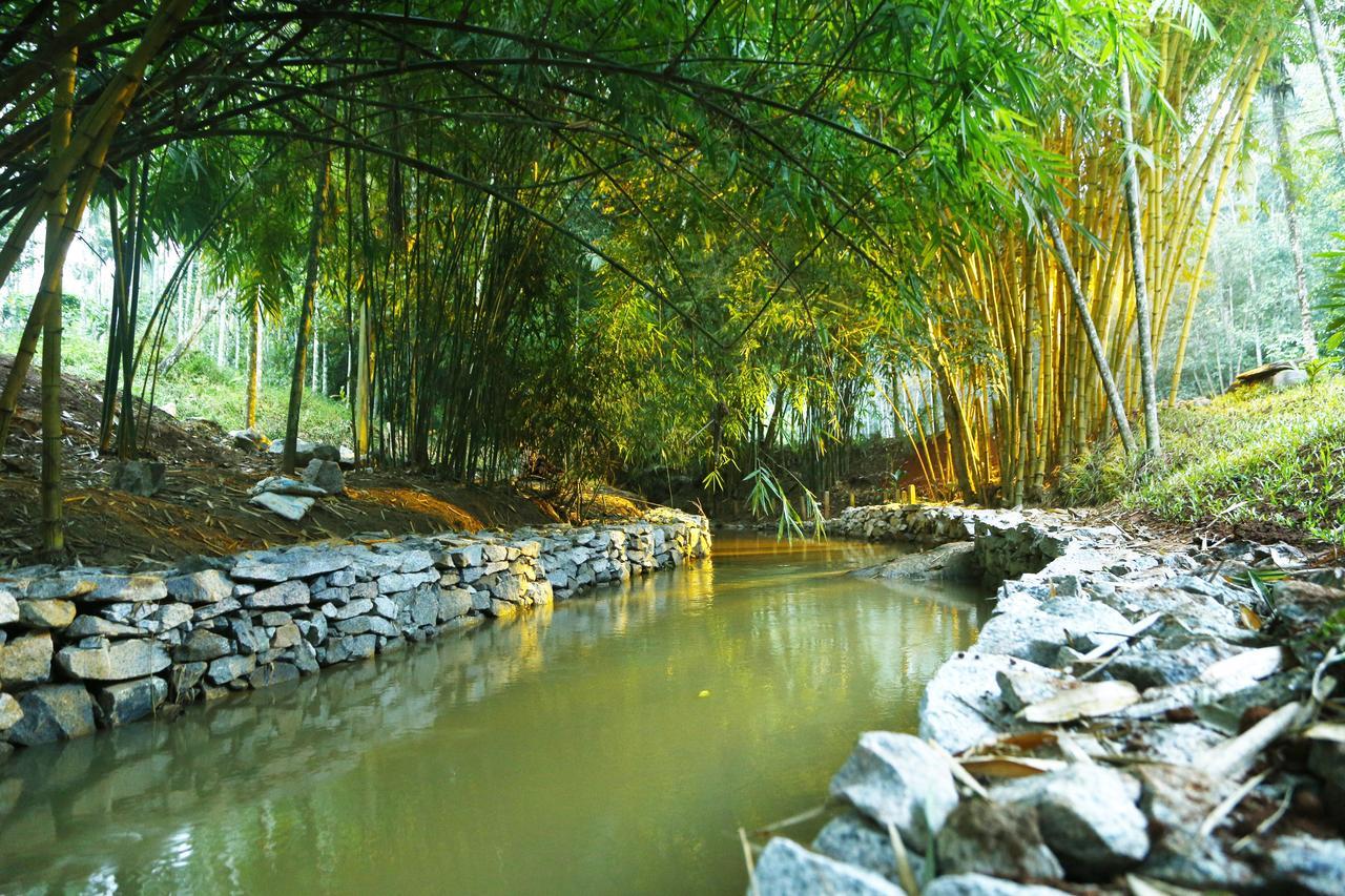 Bamboo Creek Resort Vaduvanchal Eksteriør billede