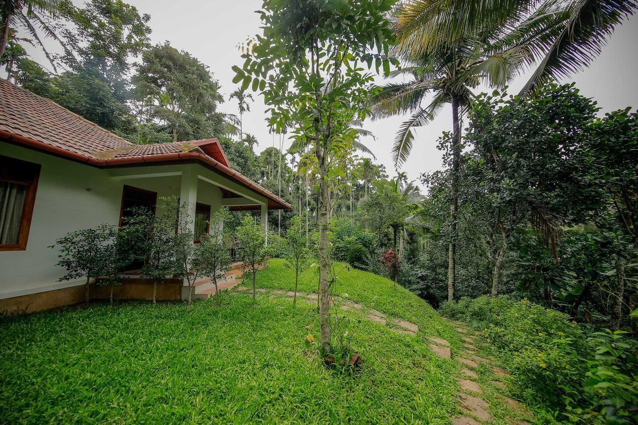 Bamboo Creek Resort Vaduvanchal Eksteriør billede