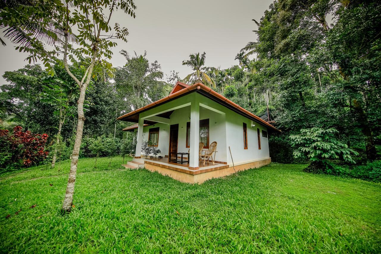 Bamboo Creek Resort Vaduvanchal Eksteriør billede