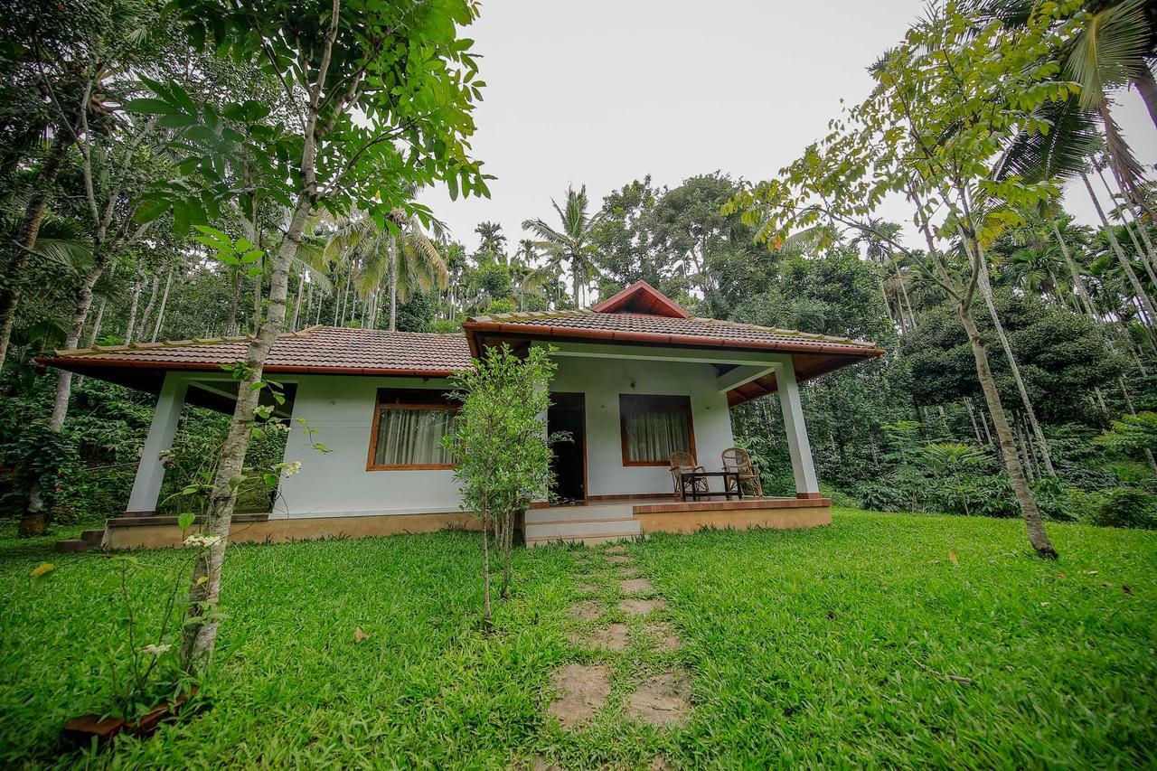 Bamboo Creek Resort Vaduvanchal Eksteriør billede