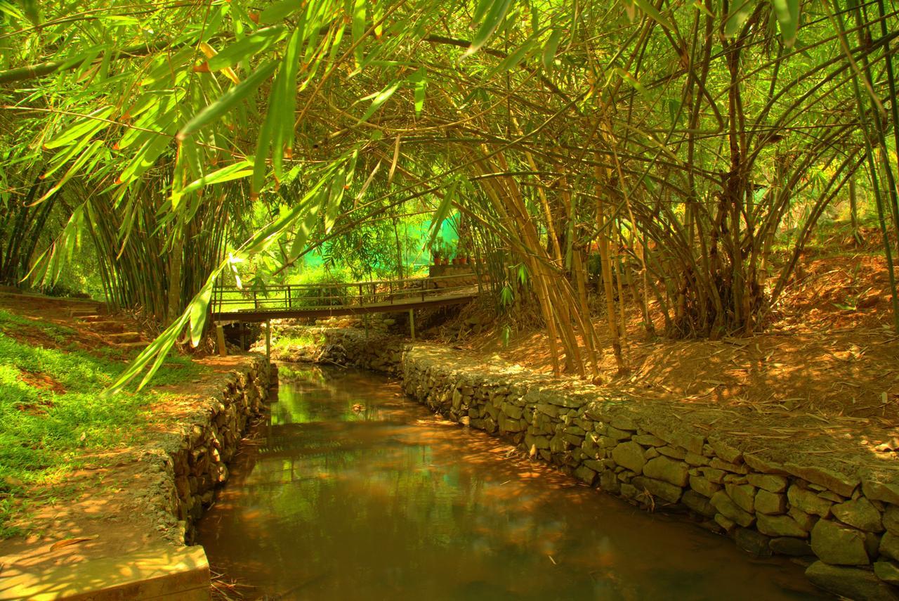 Bamboo Creek Resort Vaduvanchal Eksteriør billede