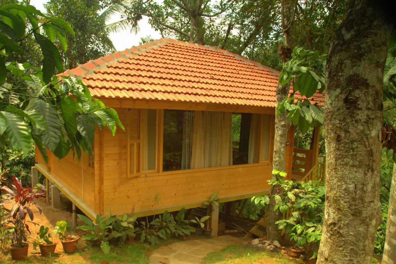 Bamboo Creek Resort Vaduvanchal Eksteriør billede