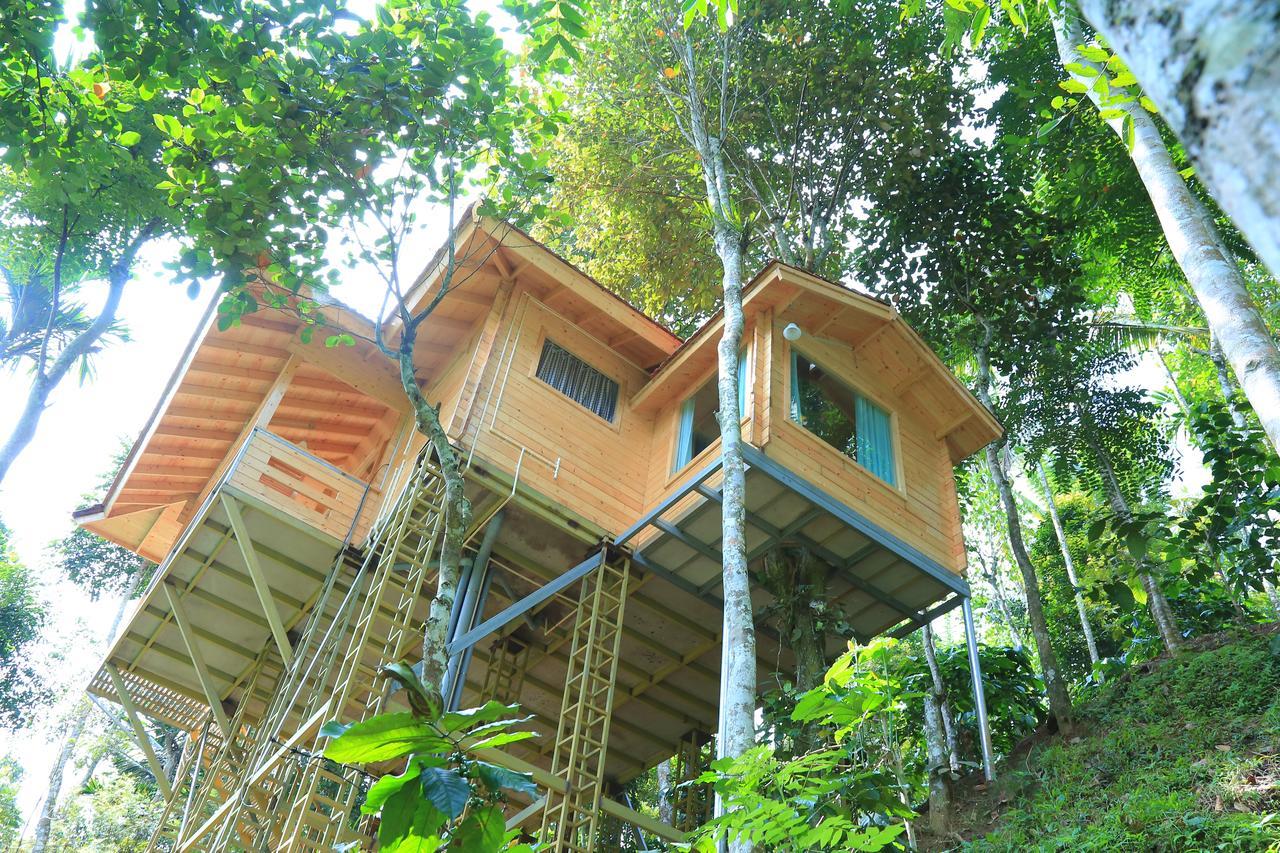 Bamboo Creek Resort Vaduvanchal Eksteriør billede