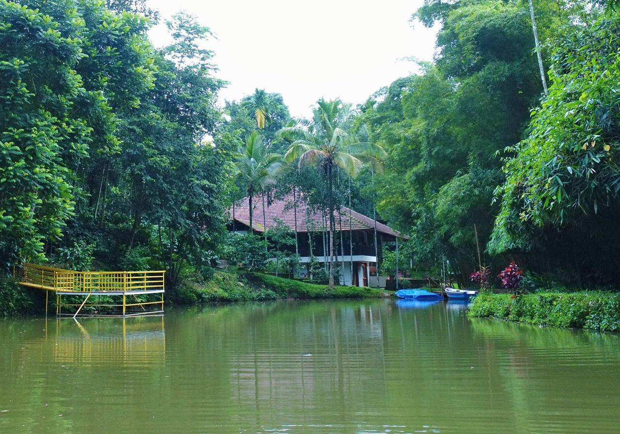 Bamboo Creek Resort Vaduvanchal Eksteriør billede