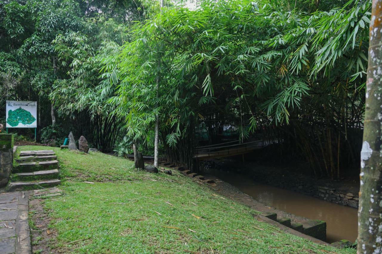 Bamboo Creek Resort Vaduvanchal Eksteriør billede