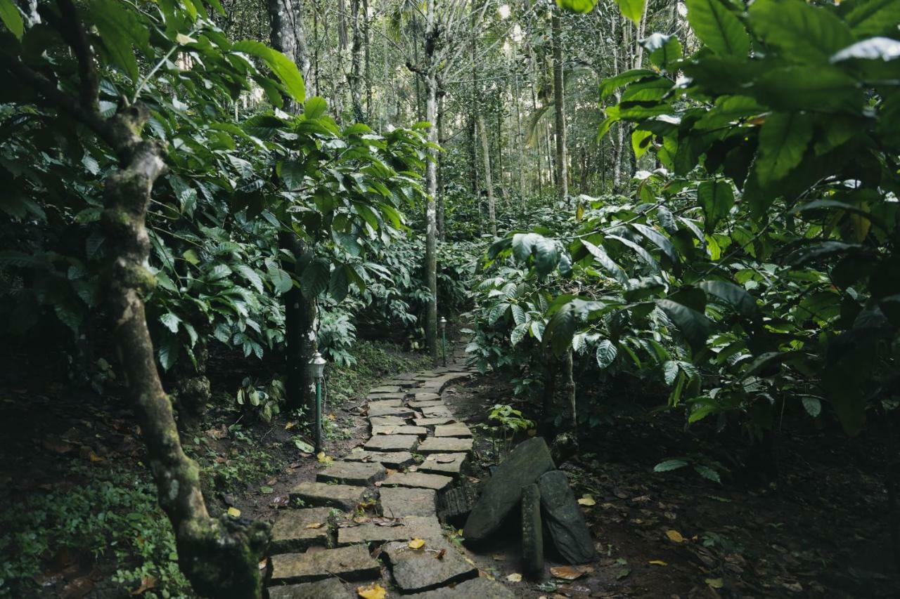 Bamboo Creek Resort Vaduvanchal Eksteriør billede