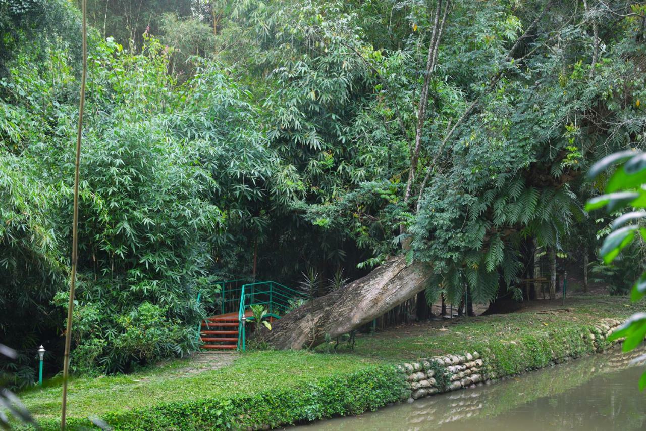 Bamboo Creek Resort Vaduvanchal Eksteriør billede